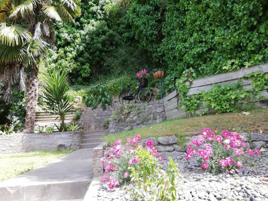 Shakespeare Cottage Napier Luaran gambar